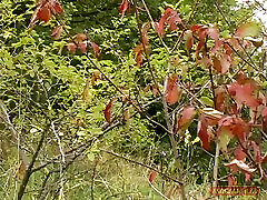 German Blonde Teenage Girl with russisan young girls Hair Gets Fucked Outdoors