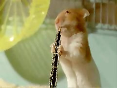 Xhamsters xvideos nepali Band play Muskrat Ramble.