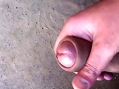 iraqi cock 2017