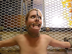 Horny brunette slut pleases his blond chick with various sex items