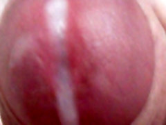 sadri bali close cuming