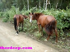 Heather Deep 4 wheeling on scary fast quad and ing next to horses in the jungle