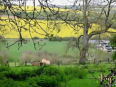 JoyBear Video: Reeves Visits Caroline