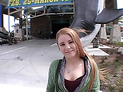 Kangaroo spotting
