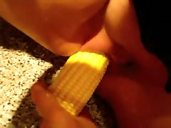 素食的喜悦