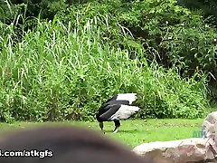 Jamie Marleigh in The bird park was amazing - ATKGirlfriends