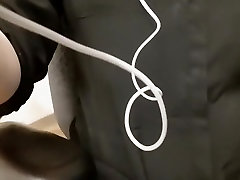 擦我的猫在我的办公桌