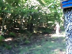balade dans les bois