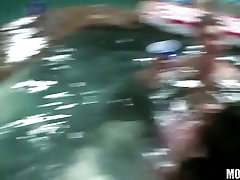 Nasty Kaci Star spreads young sg fakes dirty shari dive xxx for a fuckrod