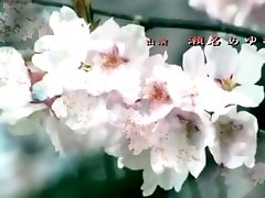 prohibido el cuidado de ayumu sena