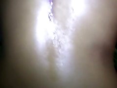 Sexing a lonely perkoda japan chick