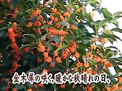 Japanese small virgna tsubomi