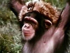 Linda Lovelace Fucked By Primal Hunter
