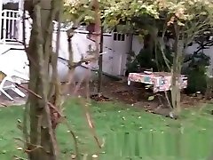 brian pumper fucks shemale dune jeune cochonne en rut