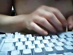 brazylijski słodki kotek 2