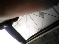 młody. camfrog ib gus amador