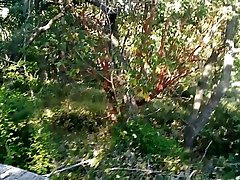 Amazing holiday Cocksucking Outdoor Blowjob, POV