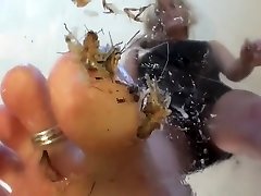 marissa crush cricket