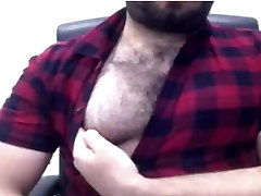 arabic bear