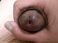 From flaccid to erect - No Cum