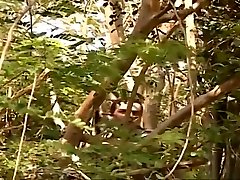 Tammi Ann anal fucked outdoors