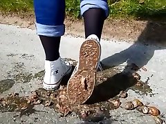 Converse Stomp Snails