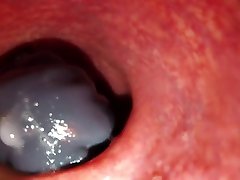 internal camera bad dragon cum