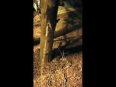 big piss spray on utility box
