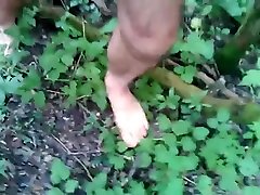 branlette dans un bois