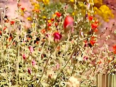 Fantasy Girlfriend Outdoor POV Blowjob Pawg Creampie - Molly Pills - GFE