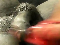 najlepszy heban trampling shoejob kiedykolwiek