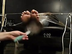 UK Tickle Bear