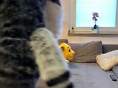 inflatable intex lion overinflation