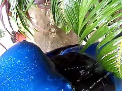 blue anti sxsxi pirates of jungle in my garden