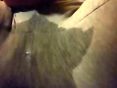lazy pee in my living room