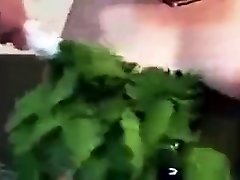 punishment with latest bbc creampie of nettles