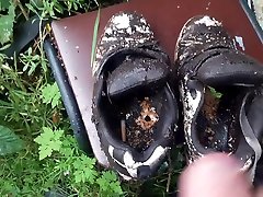 trashed dc skate shoes piss