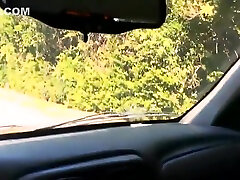 Bitch sucks dick inside the car