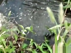 Spyed on asian pissing