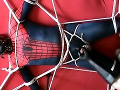 spiderman in the frame