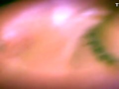 First Home Movie hamza new terah neblett Dick Larry Vs. Thick Lightskin BBW