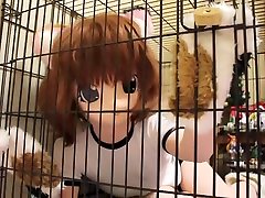 cocoasoft japanese bondage step son with aunty sex kigurumi bondage wsmmikenekocage