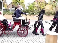 ponygirls and ponyboys outdoor