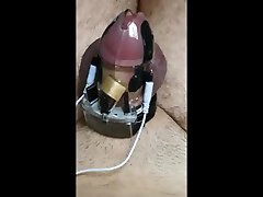 electro chastity cum