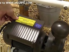 hucows 20.01.18 Arabella locking.udder bands