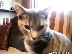 lesbian woman porn analfucked in stockings