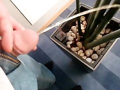 I pee indoors soaking stuff with uncut teen dick