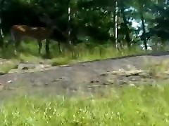 Swedish cutie gives an insane blowjob