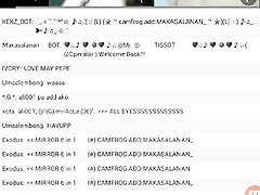 Sample 13