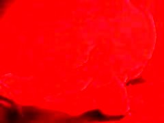 Blowjob with anny buny pusy